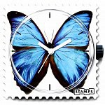 BLUE BUTTERFLY