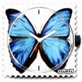 /products/blue-butterfly/